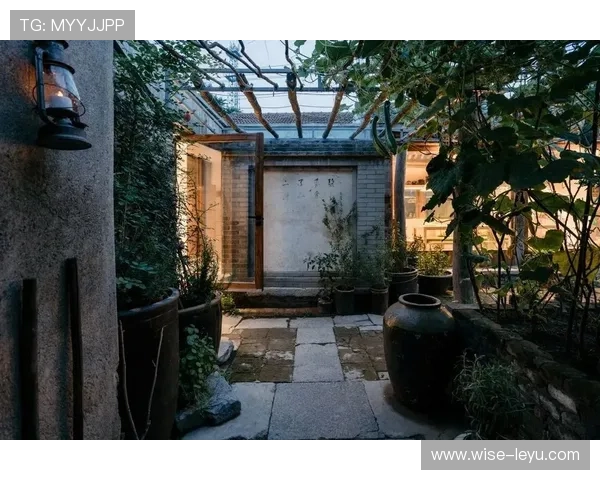 罗纳尔迪尼奥居然把豪宅改成了游乐场，这日常也太让人羡慕了吧？