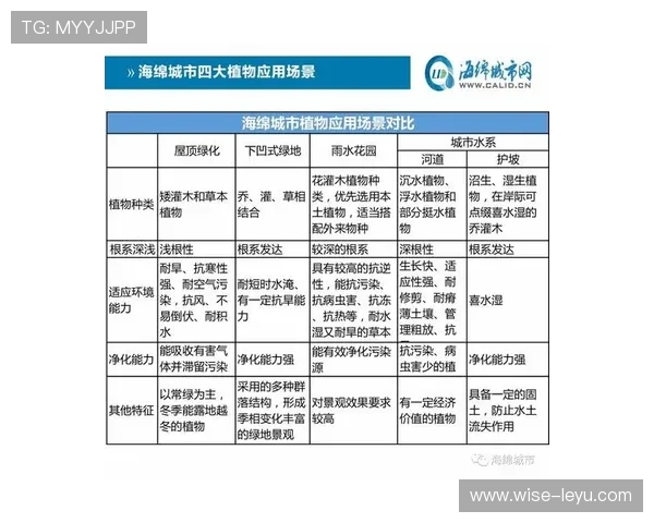 VAR介入判罚的四大关键条件与实际应用场景
