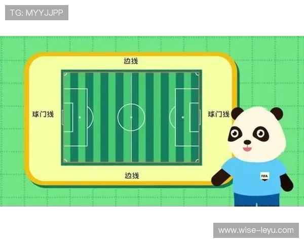 出界规则：只有球完全越过边线或球门线才被判出界