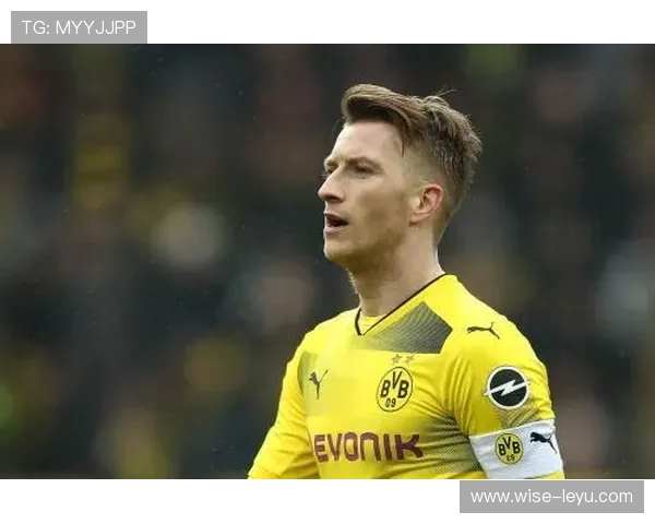 多特防线稳定性持续受考验，关键战能否改善已成赛季走势重要看点